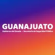 Guanajuato COVID-19