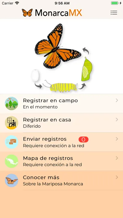 Capturas de pantalla de MonarcaMX