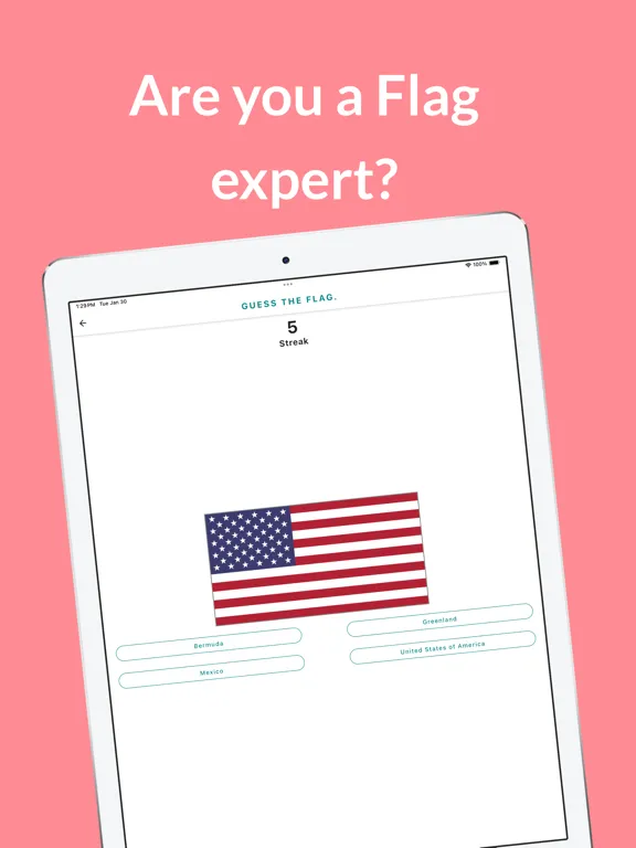 The Flag Master iPad 应用截图