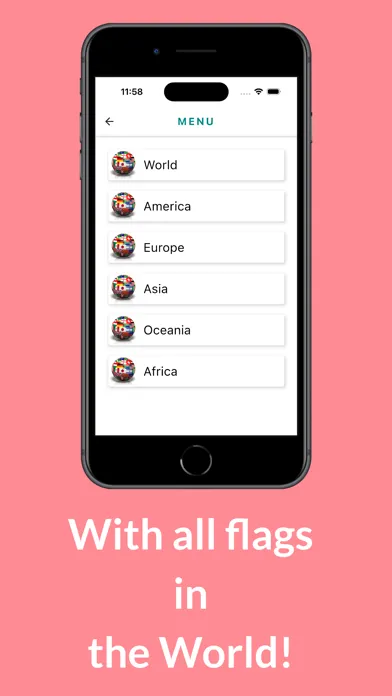 The Flag Master应用截图
