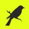 Guia de aves de españa – Ornit
