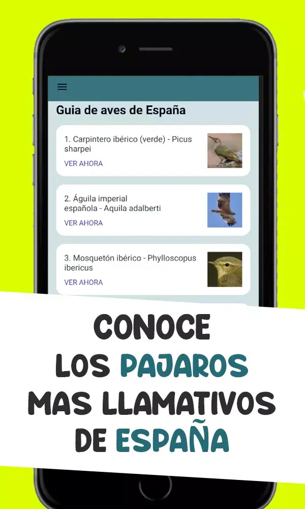 Zrzuty ekranu Guia de aves de españa – Ornit