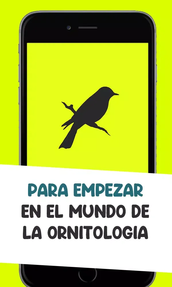 Zrzuty ekranu Guia de aves de españa – Ornit