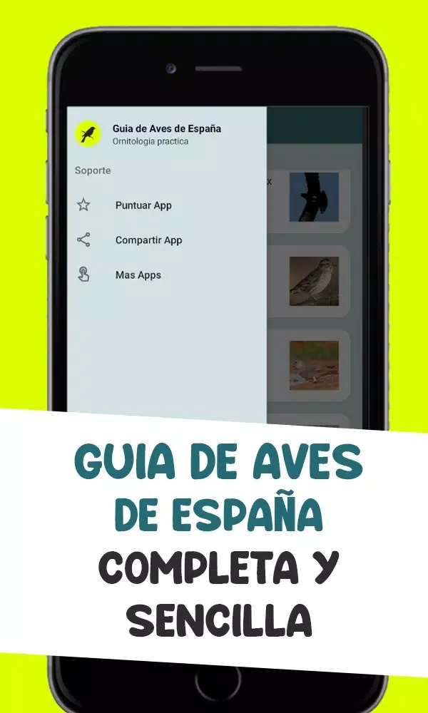 Zrzuty ekranu Guia de aves de españa – Ornit