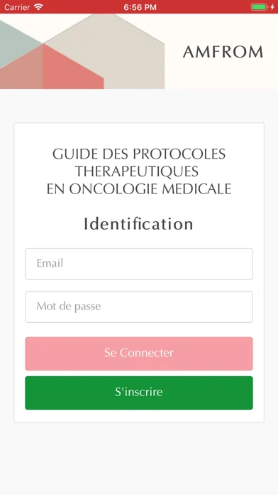 Tangkapan layar Guide Thérapeutique Amfrom