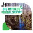 Big Cypress National Preserve Travel Guide