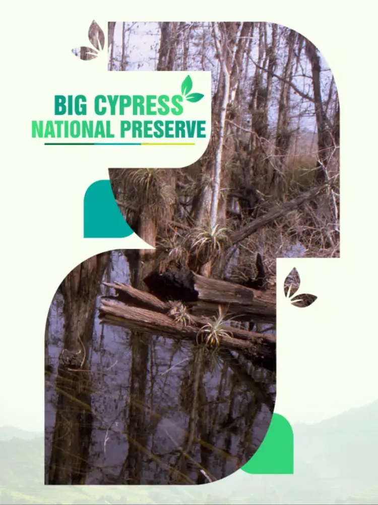 صور Big Cypress National Preserve Travel Guide iPad 