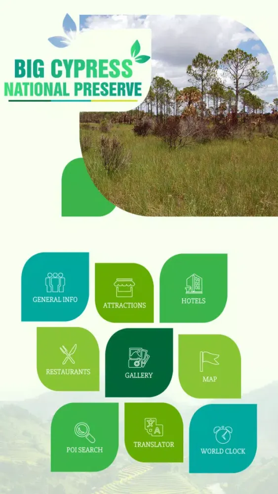 صور Big Cypress National Preserve Travel Guide