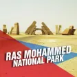 Ras Mohammed National Park Tourism Ras Mohammed National Park Tourism
