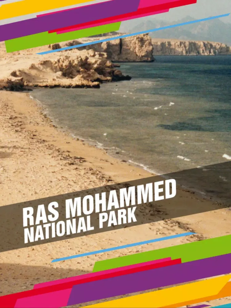 Ras Mohammed National Park Tourism iPad  스크린샷