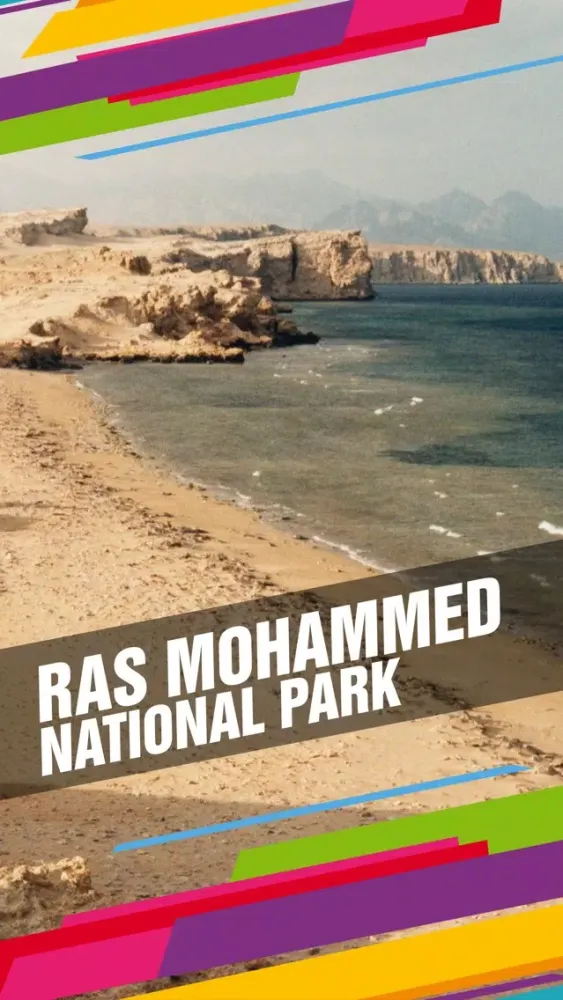 Ras Mohammed National Park Tourism 스크린샷