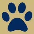 Pitt-Johnstown What’s Next? Pitt-Johnstown What’s Next?