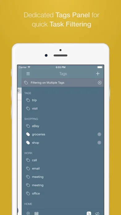 Tangkapan layar 2Do - Todo List, Tasks & Notes