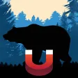 Bear Magnet - Bear Calls Bear Magnet - Bear Calls