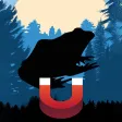 Bullfrog Magnet - Frog Calls Bullfrog Magnet - Frog Calls