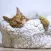 Calming Sound for Cats