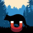 Raccoon Magnet–Raccoon Sounds