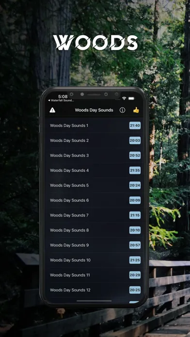 Day Woods Sounds for Sleeping Ekran Görüntüleri