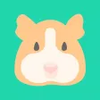 Guinea Pig App Guinea Pig App