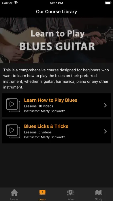 Blues Guitar Lessons应用截图