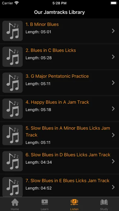 Blues Guitar Lessons应用截图
