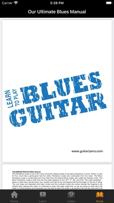Blues Guitar Lessons应用截图