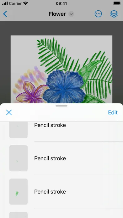 Screenshot di Drawings