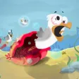 Crazy Gull Crazy Gull