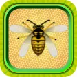 Beehive