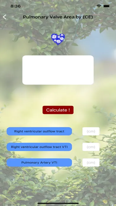 Echo Calculate স্ক্রিনশট