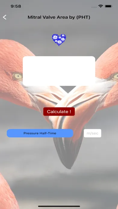 Echo Calculate স্ক্রিনশট