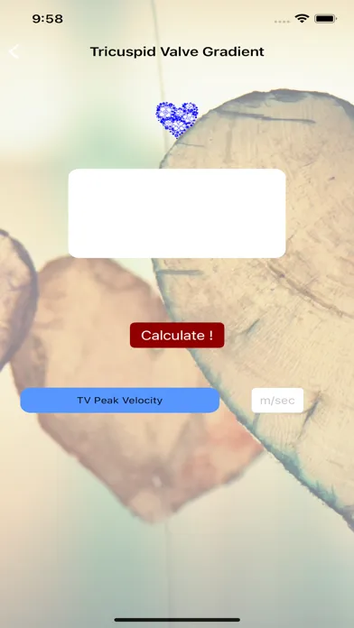 Echo Calculate স্ক্রিনশট