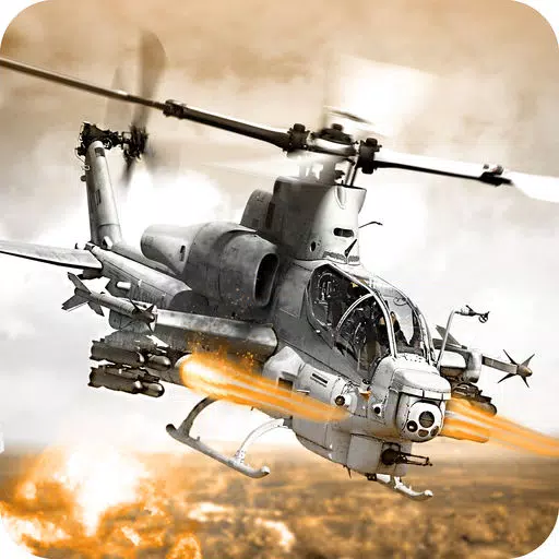 GUNSHIP HELICOPTER NAVY STRIKE