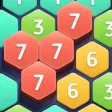 Hexa Puzzledom