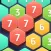 Hexa Puzzledom