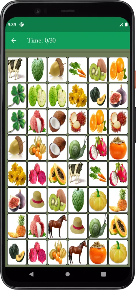 Memory Matching Game Screenshots