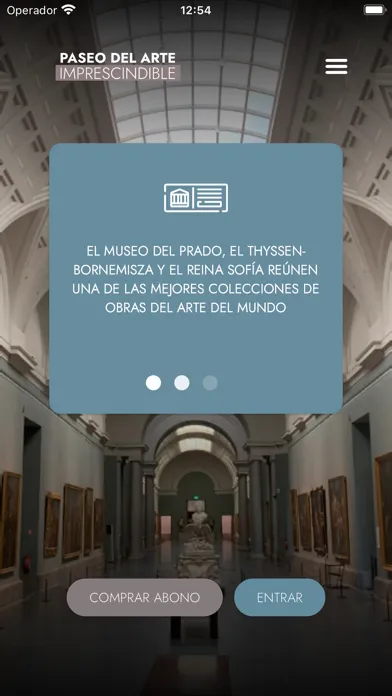 Capturas de tela do Paseo  Arte Imprescindible