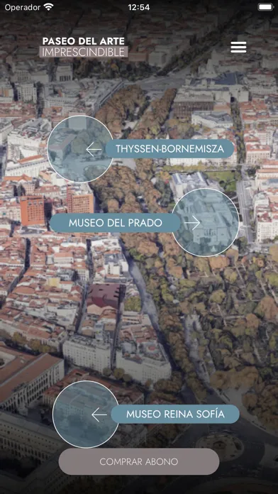 Capturas de tela do Paseo  Arte Imprescindible