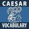 Caesar: Selections from his Commentarii De Bello Gallico Vocabulary Flashcards