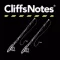The Adventures of Huckleberry Finn - CliffsNotes