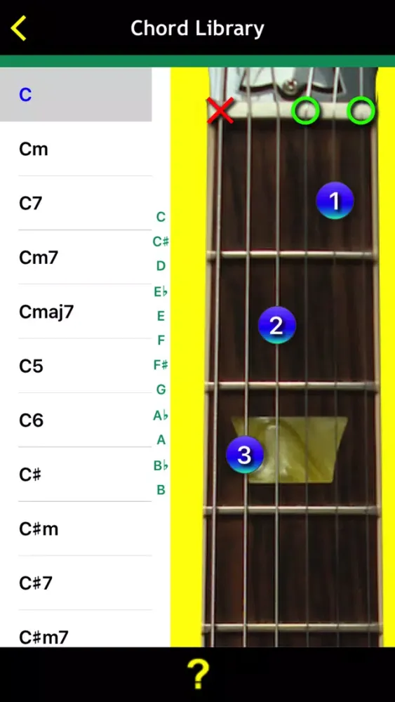 Guitar Basics For Dummies应用截图
