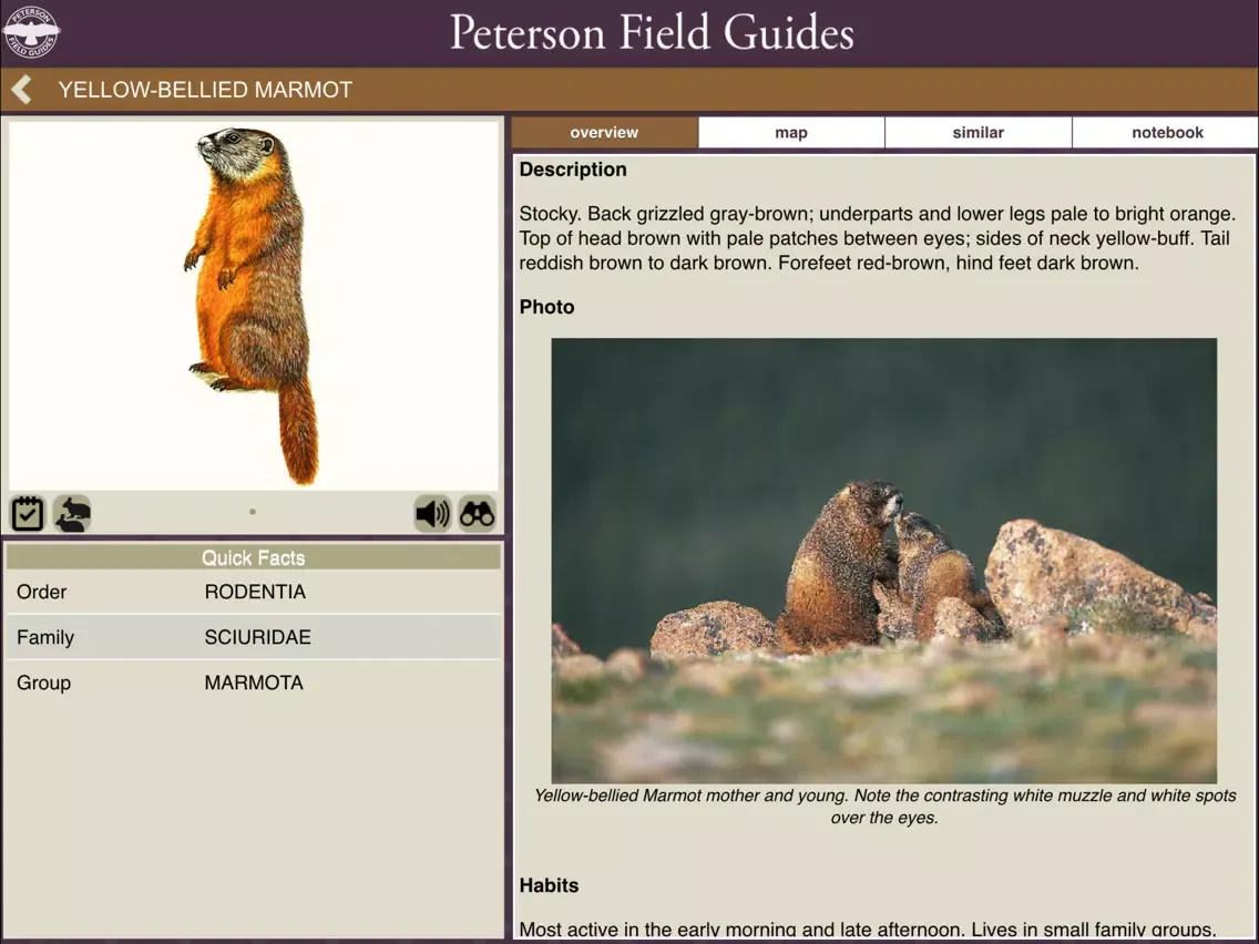 Peterson Mammals Field Guide iPad  スクリーンショット