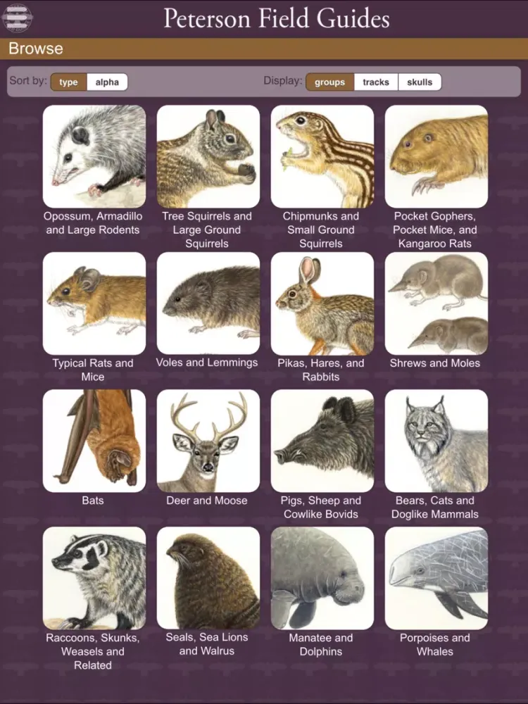 Peterson Mammals Field Guide iPad  スクリーンショット