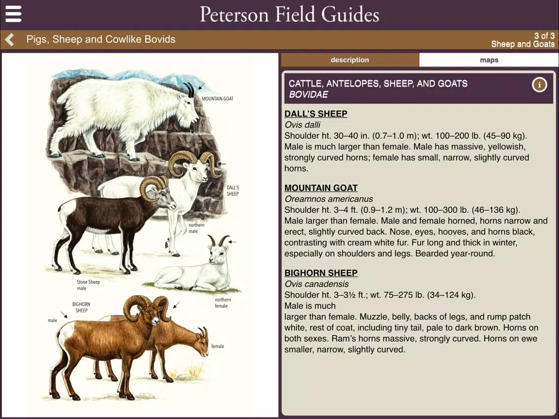 Peterson Mammals Field Guide iPad  スクリーンショット