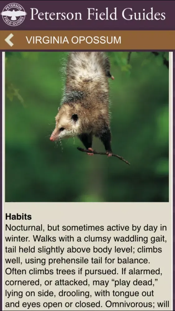 Peterson Mammals Field Guide スクリーンショット