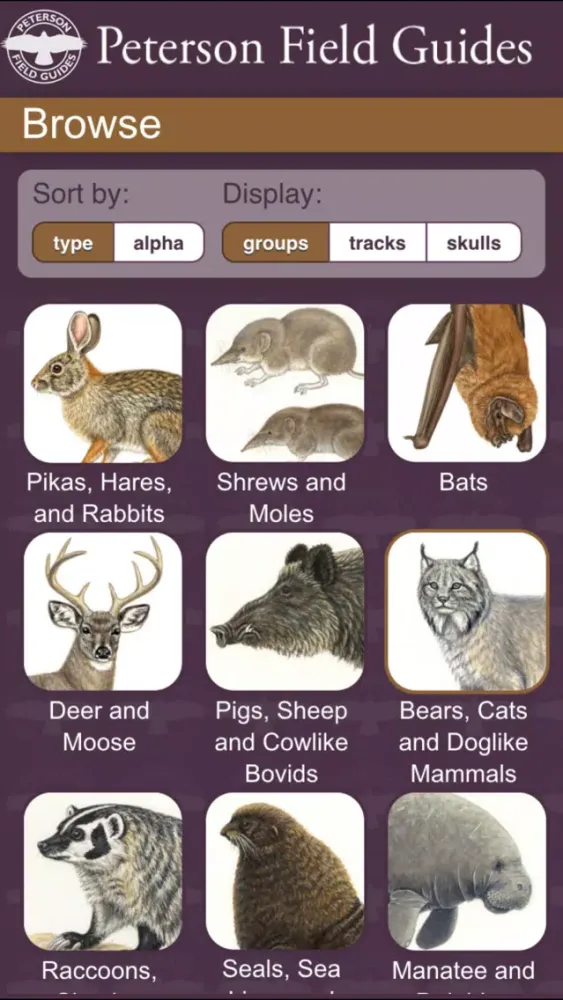 Peterson Mammals Field Guide スクリーンショット