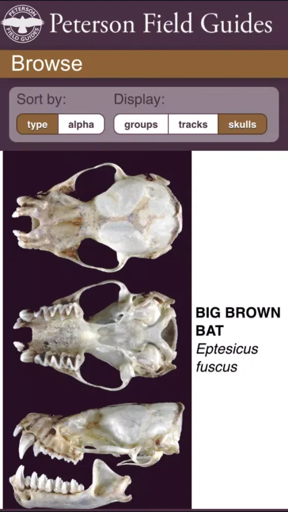 Peterson Mammals Field Guide スクリーンショット