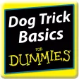 Dog Trick Basics For Dummies