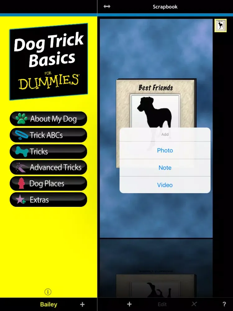 Dog Trick Basics For Dummies iPad 應用截圖