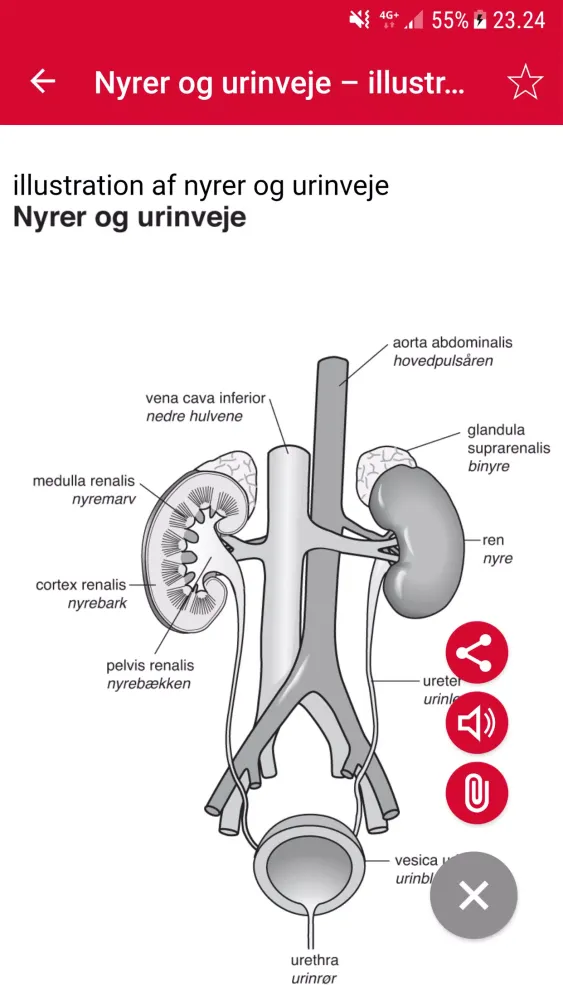 Zrzuty ekranu Sygeplejeordbogen